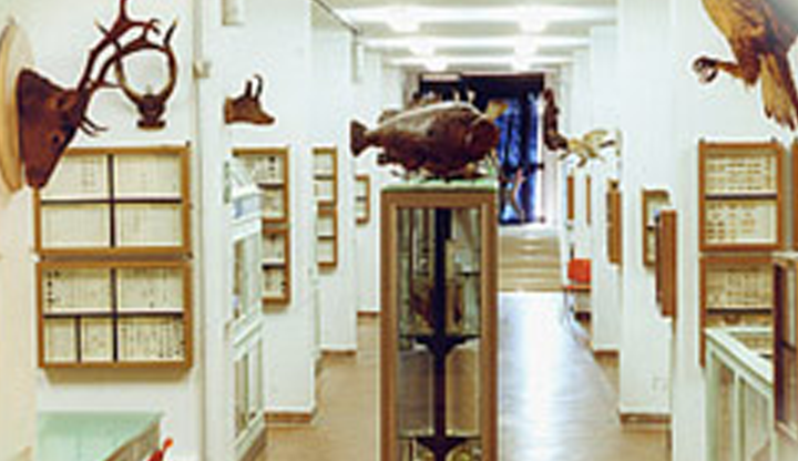 museo_zoologia