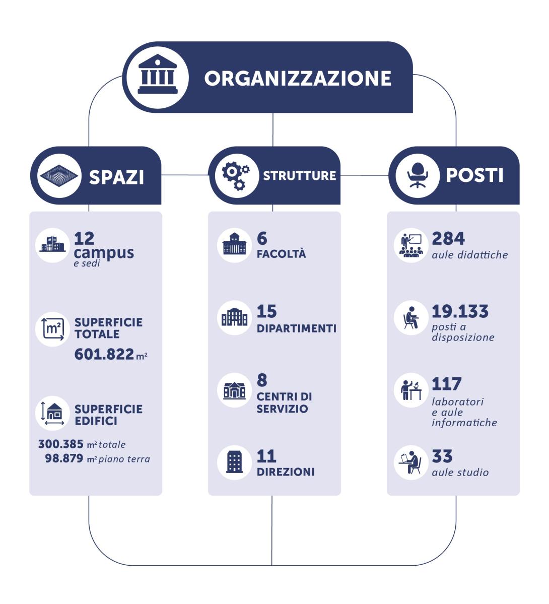 Organizzazione